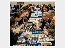 5397355 colleziona - 13
