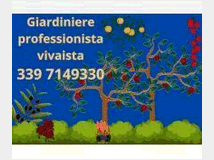 Operaio/a esperienzapluriennale cerca lavoro preferibilmente nel settoreartigianato