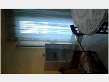 5398314 in affitto appartamento