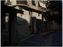 5399821 magazzino Semi centro