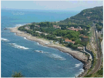 5400286 bilocale mq42 Discreto