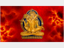 5400300 shower (doccia) massage