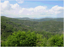 5401976 terreno coltivabile mq3250