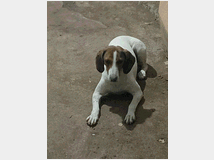 5401987 in regalo BELLA