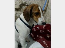 5401988 in regalo BELLA