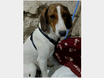 5401989 in regalo BELLA