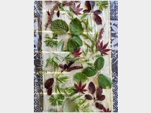 5402312 corsoWorkshop Full Immerision