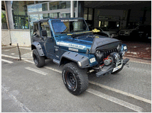 5402461 JEEP Wrangler 2ª
