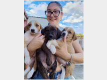 In regalo cuccioli di 2 mesi e mezzo