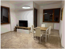 5402532 in affitto appartamento