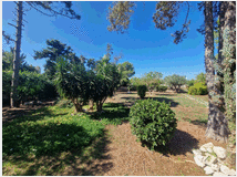 5402533 villa mq400 Ristrutturato