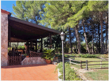 5402536 villa mq400 Ristrutturato