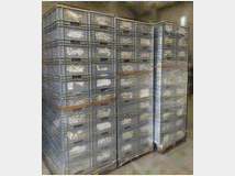 5402594 in plastica usate