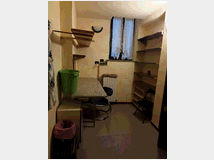 5403011 posto letto instanza