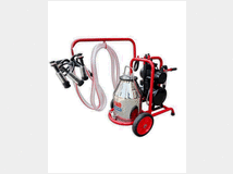 5403078 pecore capre elettrica