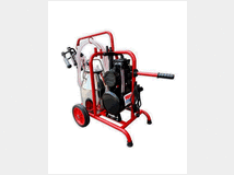 5403079 pecore capre elettrica