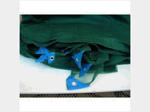 5403106 8x10 raccolta olive