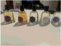 5403320 vranjes firenze