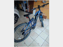 5403741 biciclette elettriche 