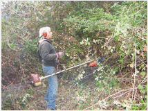 5403900 terreno coltivabile mq3250