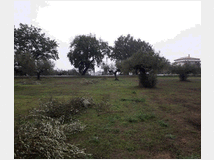 5403967 terreno edificabile mq3635