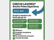 5404744 & Milano ltd