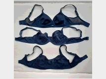 5405002 reggiseni usati