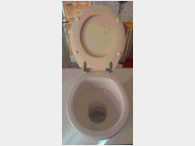 5405504 con coprivaso vaso