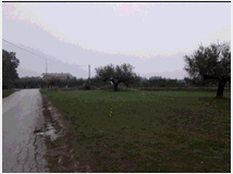 5405564 terreno edificabile mq3635