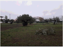 5405566 terreno edificabile mq3635