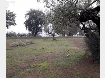 5405571 terreno edificabile mq3635