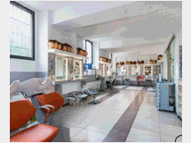 5405773 show room Parco