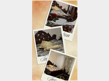 5406146 appartamento inBed &
