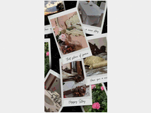 5406151 appartamento inBed &