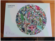 5406221 grafica  