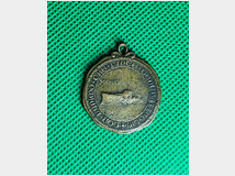5406494 commemorativa dante 