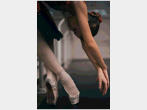 5407664 video saggi di