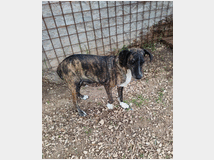 5407674 in regalo Cannella