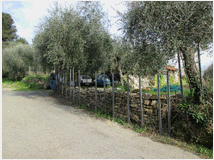 5408824 terreno edificabile mq1070