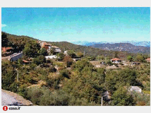 5408828 terreno coltivabile mq3250