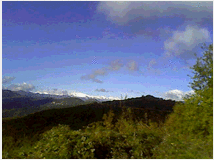 5408831 terreno coltivabile mq3250