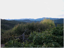 5408832 terreno coltivabile mq3250