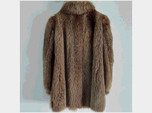 5409460 marmotta originale