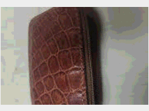 5410018 : portafogli- porta