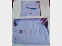 5410129 di lÃÂ©a stein