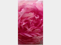 5410424 rituale tantra 