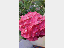 5410439 rituali tantra 