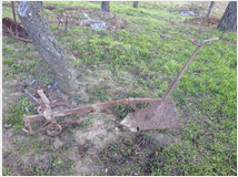 5410961 antichi dei primi