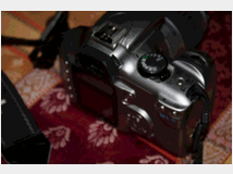 5411003 eos 300d reflex