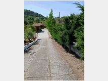 5411121 camera inHotel Hotel